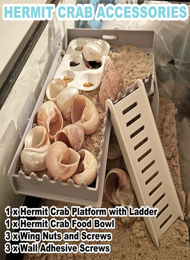 Anranmm Hermit Crab Accessories - Platform with Ladder and Food Dish, Hermit Crab Climbing Toys, Habitat Supplies and Tank Accessories for Reptiles, Hamsters, Geckos, Small Lizards - Image 3